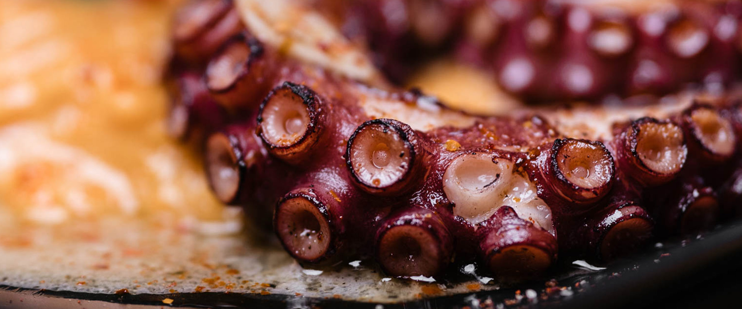 Fish and seafood dishes from The Rocka Restaurant
